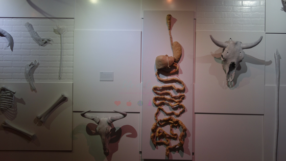 Real Bodies at Bally's - The exhibit uses REAL human specimens to explore the inner workings of the human body to explore elements of breathing, hunger, the rhythm of the heart, and other body functions. There are more than 20 preserved human bodies and more than 200 anatomical specimens.