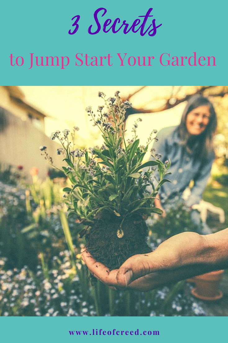 Getting a jump start on your garden can give you a great chance to succeed and have your plants grow large and healthy.