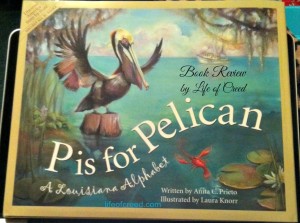 Book Review  P is for Pelican