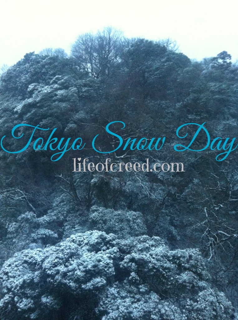 Tokyo Snow Day 00