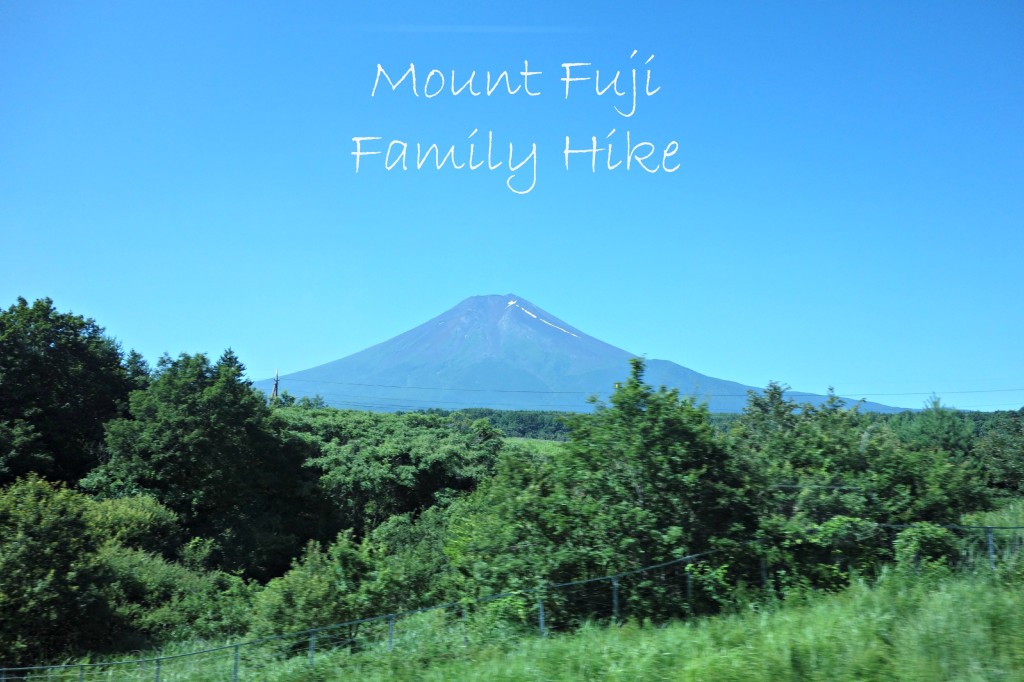 mount fuji family hike