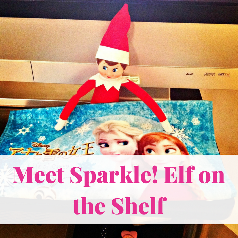 Meet Sparkle! Elf on the Shelf