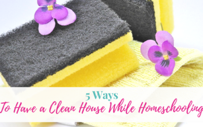 5 Ways To Have a Clean House While Homeschooling