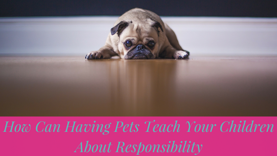How Can Having Pets Teach Your Children About Responsibility