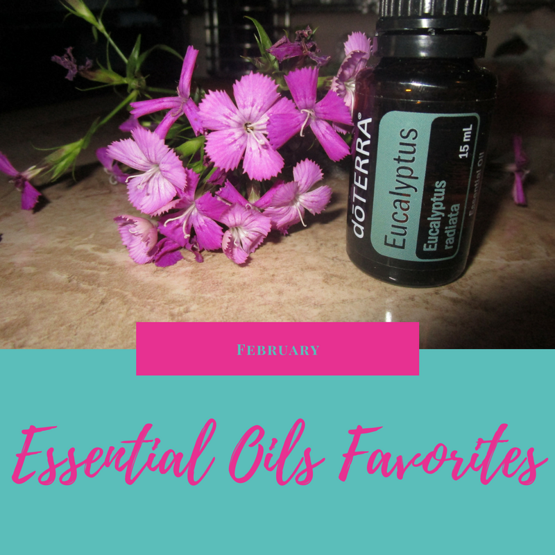 Eucalyptus Essential Oil | February Favorite
