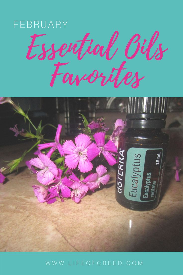 Eucalyptus Essential Oil | February Favorite | Life of Creed