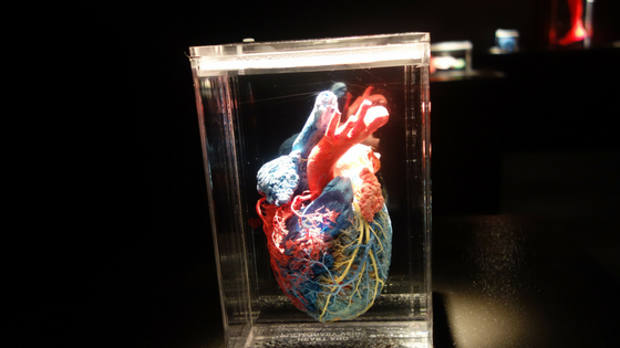 Real Bodies at Bally's - The exhibit uses REAL human specimens to explore the inner workings of the human body to explore elements of breathing, hunger, the rhythm of the heart, and other body functions. There are more than 20 preserved human bodies and more than 200 anatomical specimens.