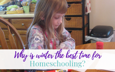 Why is Winter the Best Time for Homeschooling?