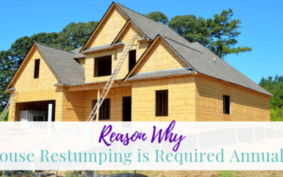 Reasons Why House Restumping is Required Annually