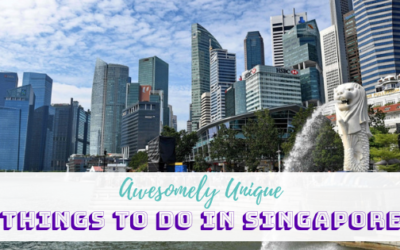 Awesomely Unique Things to do in Singapore