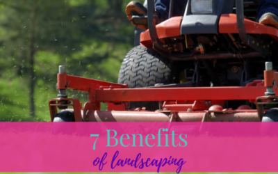 Top 7 Benefits Of Landscaping