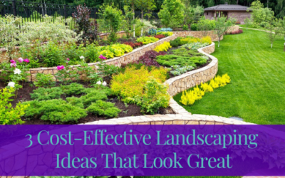 3 Cost Effective Landscaping Ideas That Look Great