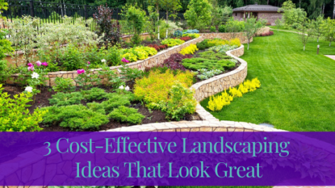 3 Cost Effective Landscaping Ideas That Look Great 