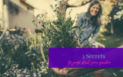3 Secrets to Jump Start Your Garden