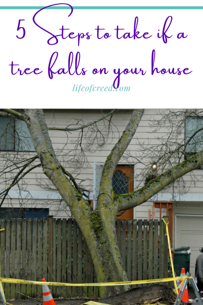 5 Steps to Take if a Tree Falls on Your House Life of Creed