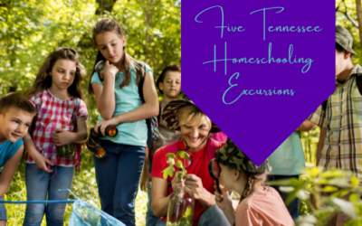 Five Tennessee Homeschooling Excursions