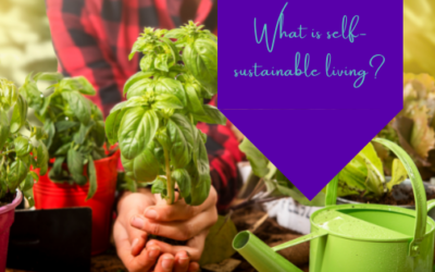 What Is Self-Sustainable Living?