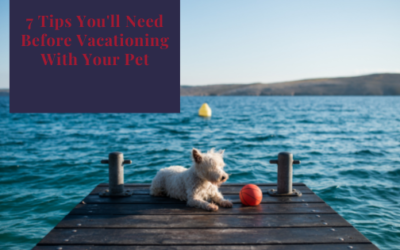 7 Tips You’ll Need Before Vacationing With Your Pet