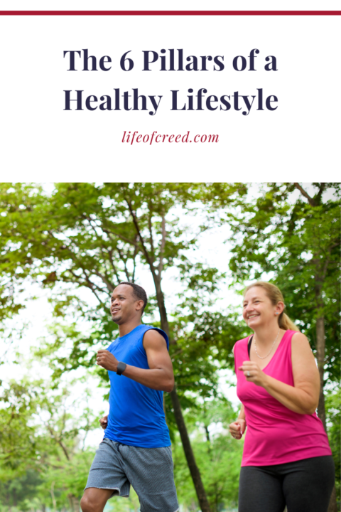 The 6 Pillars Of A Healthy Lifestyle | Life of Creed