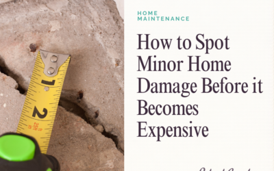 How to Spot Minor Home Damage Before It Becomes Expensive